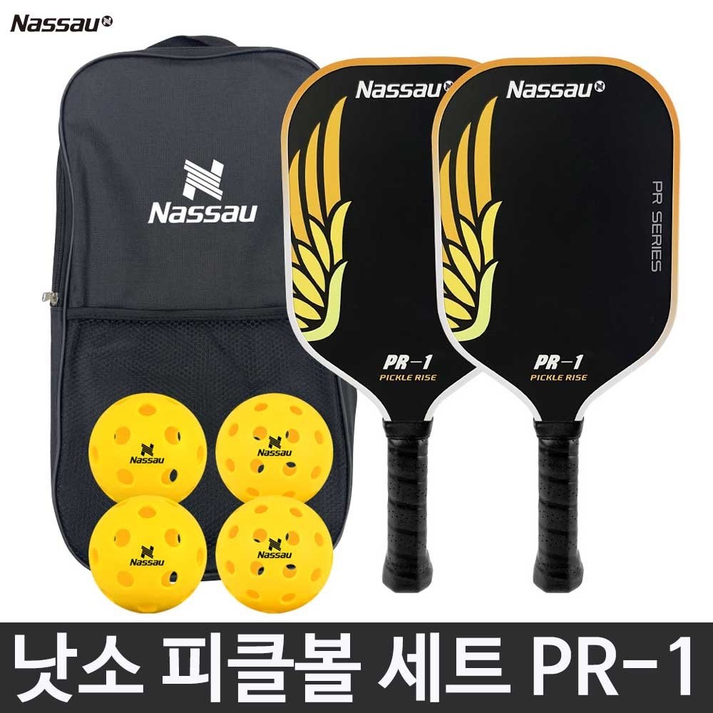 낫소 피클볼 라켓2 공4 세트 PR-1 가방포함 입문용 방과후 스포츠 수업