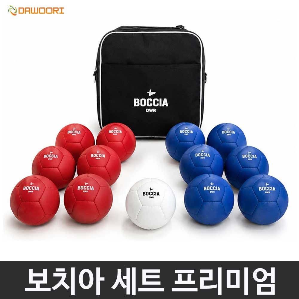 뉴스포츠 다우리 보치아 세트 프리미엄 보급